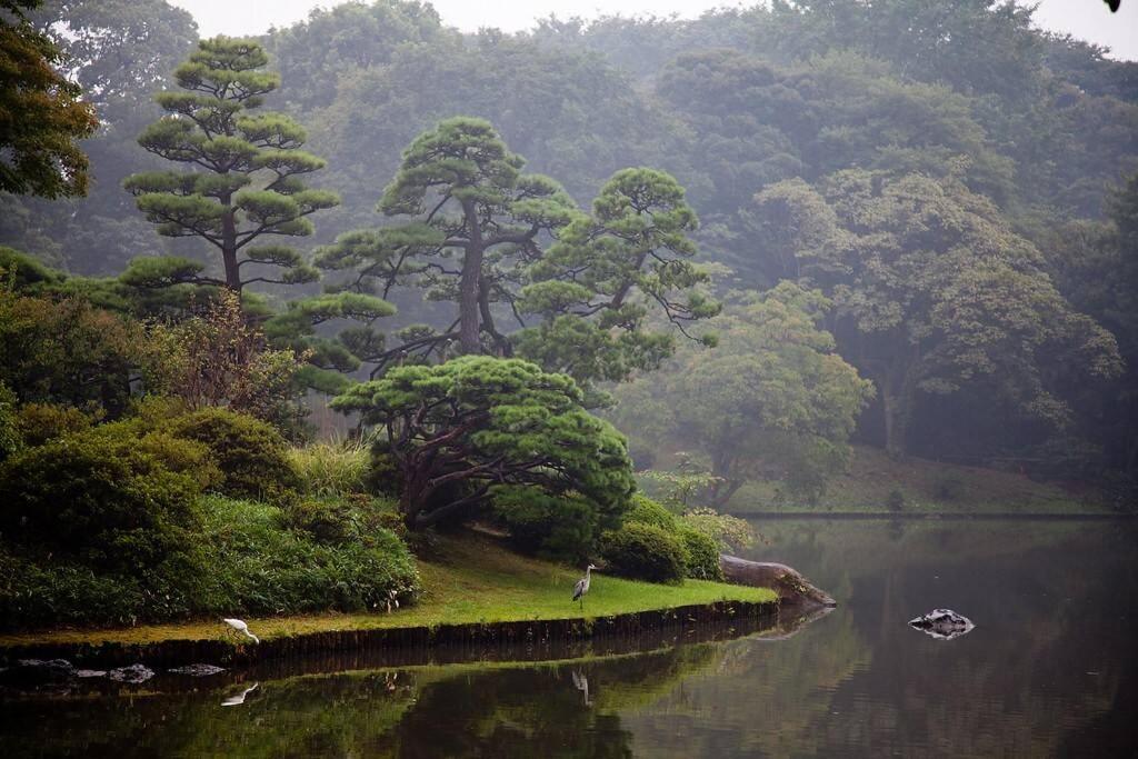 Tora Hotel Tokyo-Rikugienn 寅ホテル 六義園 C Zewnętrze zdjęcie